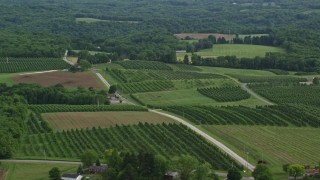 4.8K aerial stock footage orbiting orchards, East Palestine, Ohio Aerial Stock Footage | AX107_113E