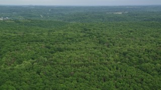 4.8K aerial stock footage flying over forests, Darlington, Pennsylvania Aerial Stock Footage | AX107_118E