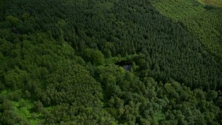 AX109_110E - 5.5K aerial stock footage approach farm fields and village of Airth, Scotland