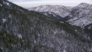 5.5K aerial stock footage fly over evergreens on snowy mountain slopes at sunrise in the Wasatch Range, Utah Aerial Stock Footage | AX124_155E