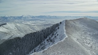 5.5K aerial stock footage of light snowdrifts on a mountain peak with frosty evergreens in winter, Oquirrh Mountains, Utah Aerial Stock Footage | AX125_198