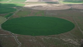 AX130_086 - 5.5K aerial stock footage of orbiting green circular crop fields, Elberta, Utah