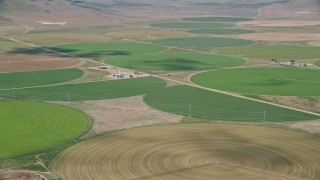 AX130_103E - 5.5K aerial stock footage of flying by large field of circular crop fields, Elberta, Utah