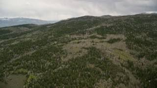 5.5K aerial stock footage video of mountain slopes, evergreen forest and aspen trees, Fishlake National Forest, Utah Aerial Stock Footage | AX130_198E