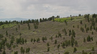 5.5K aerial stock footage of approaching the top of a mountain ridge with trees, Dixie National Forest, Utah Aerial Stock Footage | AX130_359E