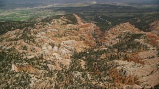 5.5K aerial stock footage orbit hills, trees, dirt road winding through canyon at Bryce Canyon National Park, Utah Aerial Stock Footage | AX130_446E