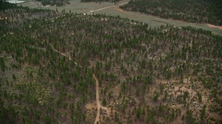 AX131_004E - 5.5K aerial stock footage of flying over dirt road and forest, Bryce Canyon National Park, Utah