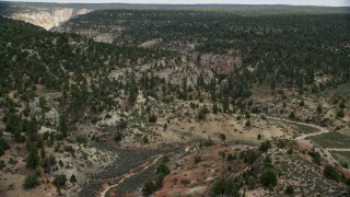 5.5K aerial stock footage follow dirt road, forest, Grand Staircase-Escalante National Monument, Utah Aerial Stock Footage | AX131_043