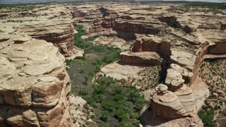 5.5K aerial stock footage of flying low through Grand Gulch, over plants, Grand Gulch Primitive Area, Utah Aerial Stock Footage | AX136_085E