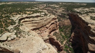 5.5K aerial stock footage of flying over Grand Gulch, panning over desert plants, Grand Gulch Primitive Area, Utah Aerial Stock Footage | AX136_106