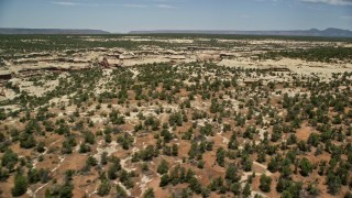 5.5K aerial stock footage of flying by the top of Grand Gulch and canyon cliffs, Grand Gulch Primitive Area, Utah Aerial Stock Footage | AX136_107E