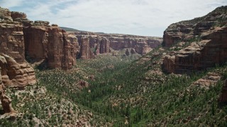 5.5K aerial stock footage of trees and tall rock formations in Arch Canyon, Utah Aerial Stock Footage | AX136_149E