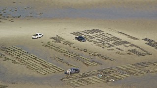 AX143_170 - 5.5K aerial stock footage flying by oyster farming, sand bars, Cape Cod, Dennis, Massachusetts