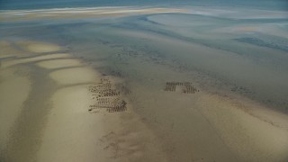 5.5K aerial stock footage flying by oyster farming on sand bars, low tide, Cape Cod, Dennis, Massachusetts Aerial Stock Footage | AX143_171