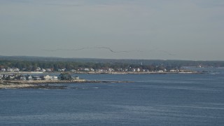 AX147_163 - 6K aerial stock footage tracking a flock of birds above a coastal town, autumn, Rye, New Hampshire