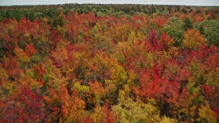 6K aerial stock footage flying over a colorful forest in autumn, Biddeford, Maine Aerial Stock Footage | AX147_284E