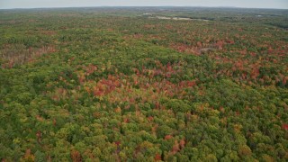 6K aerial stock footage flying over dense, colorful forest, autumn, Woolwich, Maine Aerial Stock Footage | AX147_418