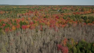 6K aerial stock footage flying over colorful forest, approach isolated rural home, autumn, Cushing, Maine Aerial Stock Footage | AX148_036E