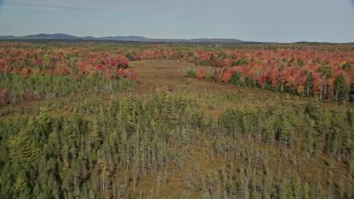 6K aerial stock footage flying over a colorful forest, small river, autumn, Cushing, Maine Aerial Stock Footage | AX148_040