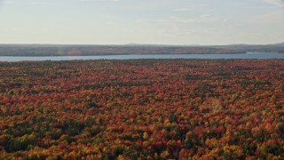 5.5K aerial stock footage flying over color fall foliage toward the bay, Trenton, Maine Aerial Stock Footage | AX149_001