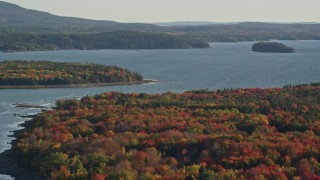 5.5K aerial stock footage flying away from the bay and over forest with fall foliage, Trenton, Maine Aerial Stock Footage | AX149_002