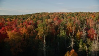 5.5K aerial stock footage flying over clearing and forest with colorful trees, autumn, Blue Hill, Maine Aerial Stock Footage | AX149_042E