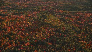 5.5K aerial stock footage flying by forest of colorful trees in autumn, Searsmont, Maine, sunset Aerial Stock Footage | AX149_187