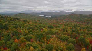 5.5K aerial stock footage flying over dense forest in autumn, approach Cezar Lake, overcast, Lovell, Maine Aerial Stock Footage | AX150_133E