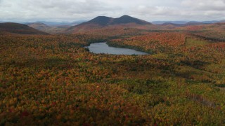 Autumn Aerial Stock Footage