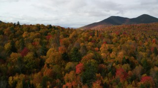 Seasonal Aerial Stock Footage