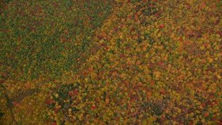 5.5K aerial stock footage of a bird's eye view over forest of bright trees, autumn, White Mountains, New Hampshire Aerial Stock Footage | AX150_187E