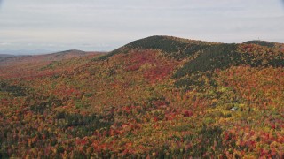 5.5K aerial stock footage flying by colorful forest, Cleveland Mountain, autumn, Bethlehem, New Hampshire Aerial Stock Footage | AX150_233