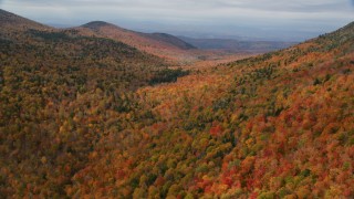 Autumn Landscapes Aerial Stock Footage