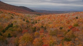 5.5K aerial stock footage flying over colorful forest through mountains, autumn, overcast, Orange, Vermont Aerial Stock Footage | AX150_325E