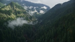 5.5K aerial stock footage approaching the Eagle Creek Trail canyon in Cascade Range, Hood River County, Oregon Aerial Stock Footage | AX154_041E