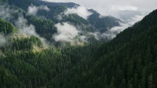 5.5K aerial stock footage following Eagle Creek Trail through a canyon in the Cascade Range, Hood River County, Oregon Aerial Stock Footage | AX154_044E