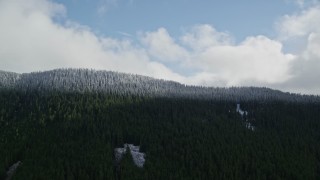 5.5K aerial stock footage approaching the snow line and snowy evergreen trees atop a mountain ridge, Cascade Range, Hood River County, Oregon Aerial Stock Footage | AX154_058