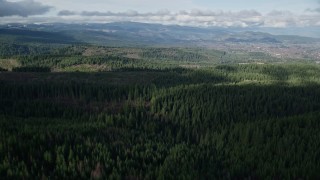 5.5K aerial stock footage flying over forest trail through evergreens in the Cascade Range, Hood River Valley, Oregon Aerial Stock Footage | AX154_133E