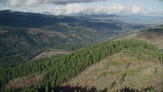 5.5K aerial stock footage approaching and flying over evergreen forest and logging areas, Dee, Oregon Aerial Stock Footage | AX154_146E