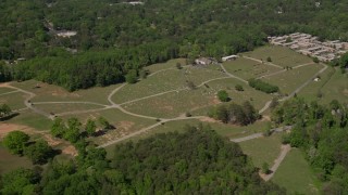 4.8K aerial stock footage flying by a cemetary among trees, Atlanta, Georgia Aerial Stock Footage | AX37_002