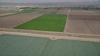 5K aerial stock footage flyby a green crop field beside a country road, Camarillo, California Aerial Stock Footage | AX42_027