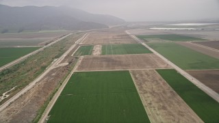 5K aerial stock footage fly over farmland between country roads with light fog in the distance, Camarillo, California Aerial Stock Footage | AX42_048