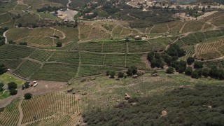 5K aerial stock footage fly away from hillside vineyards to reveal a jagged slope, Malibu, California Aerial Stock Footage | AX42_103