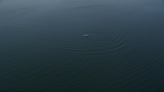 5K aerial stock footage track a fishing boat on a lake, Lake Washington, Washington Aerial Stock Footage | AX47_002