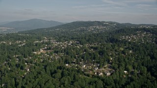 5K aerial stock footage of passing hillside suburban homes with lush trees, Bellevue, Washington Aerial Stock Footage | AX48_012E