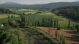 AX48_039E - 5K aerial stock footage fly over tall trees and the Snoqualmie River to crop fields in Carnation, Washington