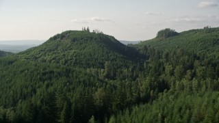 5K aerial stock footage of green hills and evergreen forest in King County, Washington Aerial Stock Footage | AX48_051