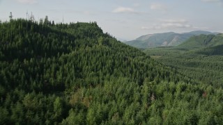 5K aerial stock footage approach and fly over a wooded mountain in King County, Seattle, Washington Aerial Stock Footage | AX48_053E