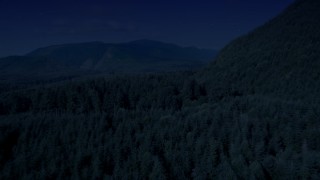 4K day for night color corrected aerial stock footage of evergreen forest to reveal a road in King County, Washington Aerial Stock Footage | AX48_056_DFN