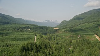 AX48_057 - 5K aerial stock footage fly over a forest and a narrow road through evergreen trees in King County, Washington